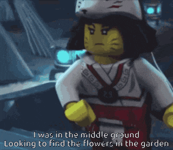 a lego character says i was in the middle ground looking to find the flowers in the garden ..