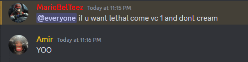 a screenshot of a discord conversation between amir and mario belteez