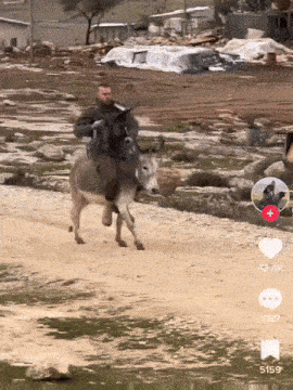 a man riding a donkey on a dirt road