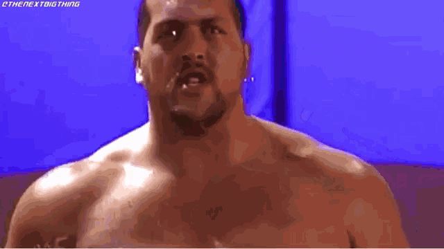 a man is standing in front of a screen that says ' wwf tag team champion big show '