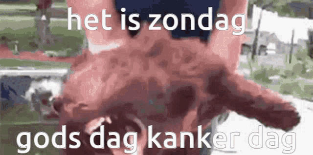 a picture of a person holding a dog with the words het is zondag gods dag kanker dag written on it