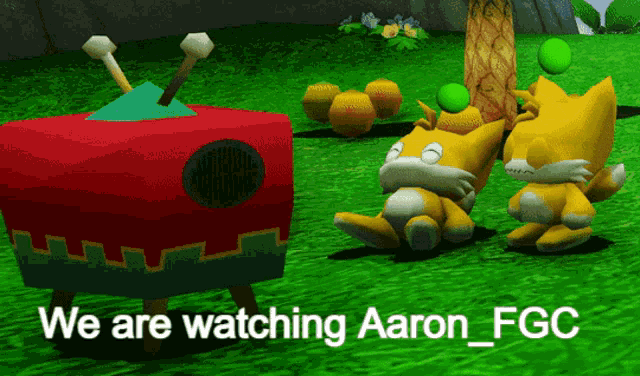 two stuffed animals sit in front of a red box that says " we are watching aaron_fgc "