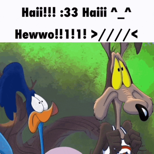 a cartoon of a bird and a coyote with the words haii 3:33 haiii hewwo !!! 1