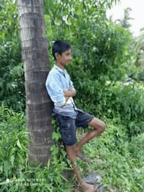 a young man is leaning against a palm tree in a field .