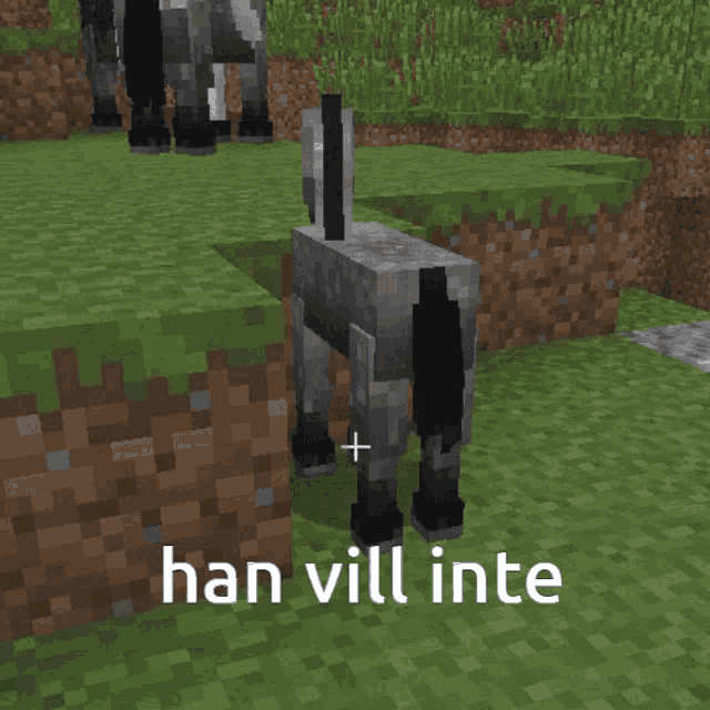 a picture of a donkey in a minecraft world with the words han vill inte