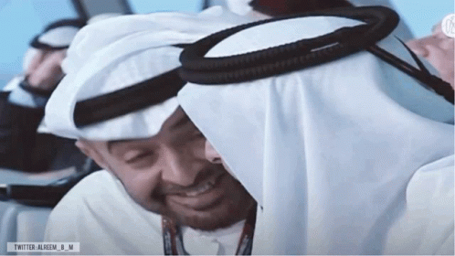 Zayed Mbz1 GIF