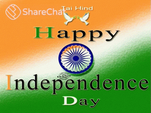 Happy Independence Day Celebrating GIF - Happy Independence Day Celebrating Flag GIFs