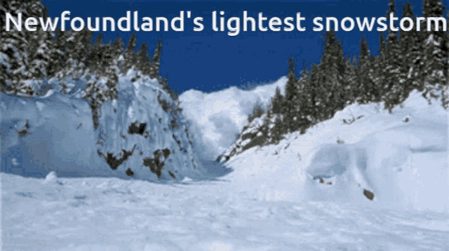 Newfoundland Snow Storm GIF - Newfoundland Snow Storm Avalanche GIFs