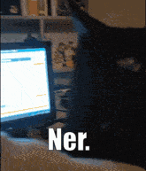 a black cat is sitting in front of a computer with the words ner written on the bottom