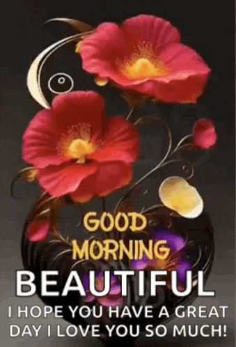 a good morning beautiful i hope you have a great day i love you so much
