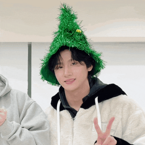 a young man wearing a christmas hat with a tinsel tree on it