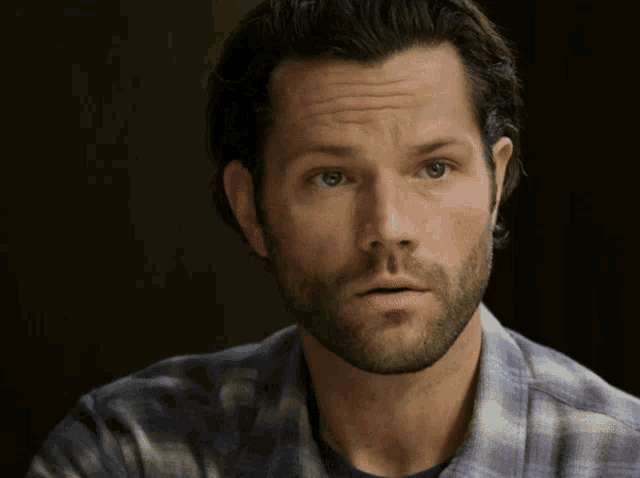 a man with a beard and a plaid shirt is looking at the camera