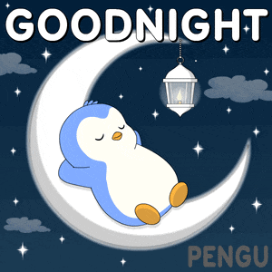 pengu-pudgy.gif