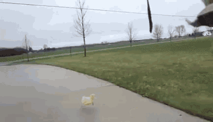a person is riding a skateboard down a sidewalk next to a grassy field .