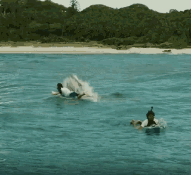 Shark Surf GIF