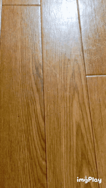 a close up of a wooden floor with the words imgplay below