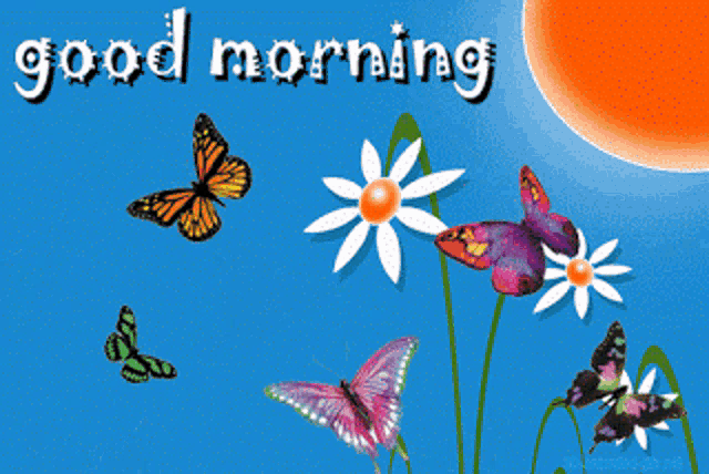 a blue background with butterflies and flowers and the words " good morning "