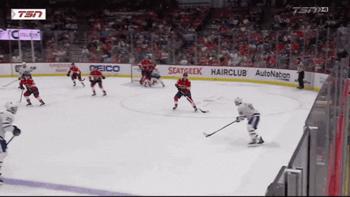 a hockey game is being played on a tsn broadcast