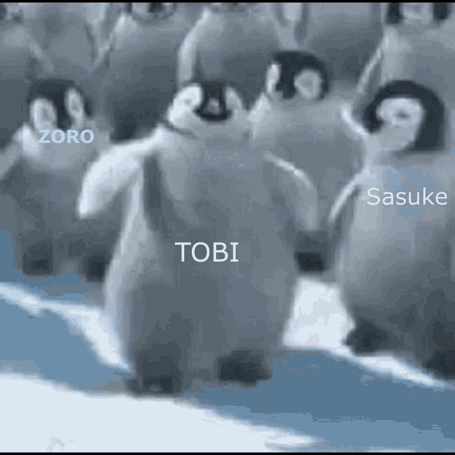 Sasukezorotobivibe Sasuke Tobi Pingu GIF - Sasukezorotobivibe Sasuke Tobi Pingu Sasuke Tobi Zoro Vibe GIFs