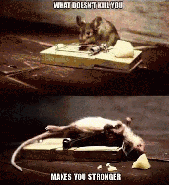 School What Doesnt Kill You Makes You Stronger Mouse GIF - School What Doesnt Kill You Makes You Stronger Mouse You Can Do It GIFs