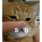 a person is touching a cat 's face with their finger and the word sad is written on it .