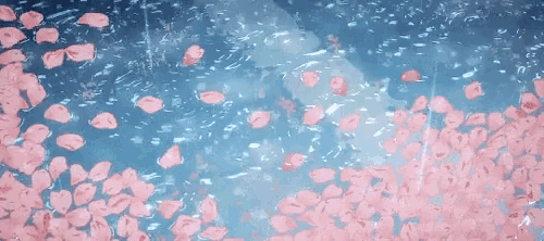 a bunch of pink petals are falling into a body of water .