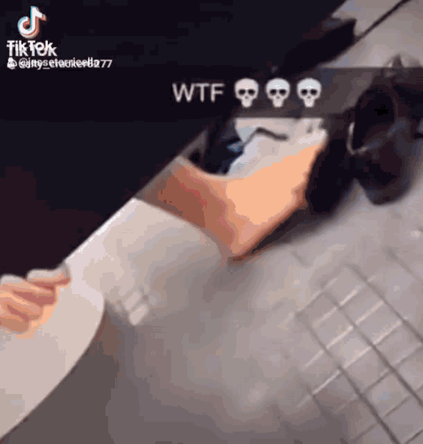 a tik tok video of a person using a toilet with skulls on it