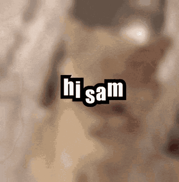 Sam Samantha GIF - Sam Samantha Sammy GIFs