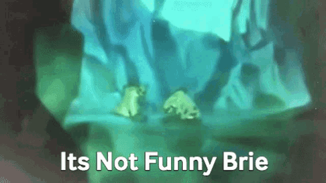 a frog is swimming in a cave with the words `` it 's not funny brie '' written on the bottom .