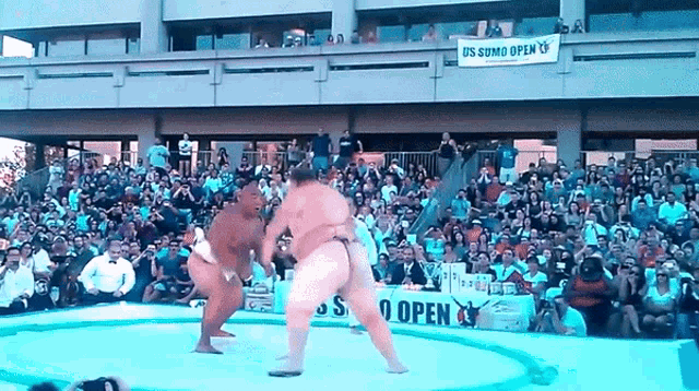 Sumo Slam GIF - Sumo Slam Gravity GIFs