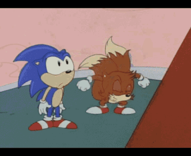a cartoon of sonic the hedgehog and tails standing next to each other