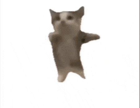 a cat is flying through the air on its hind legs .