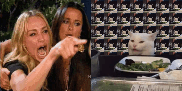 two women pointing at a cat next to a casserole dish