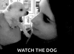 a black and white photo of a woman holding a puppy and a caption that says `` watch the dog '' .