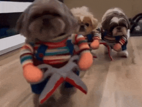 three dogs are dressed in costumes and holding scissors in their hands .
