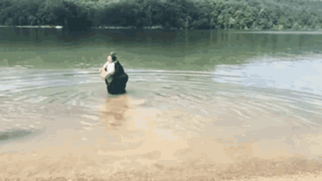 a person standing in a body of water with trees in the background