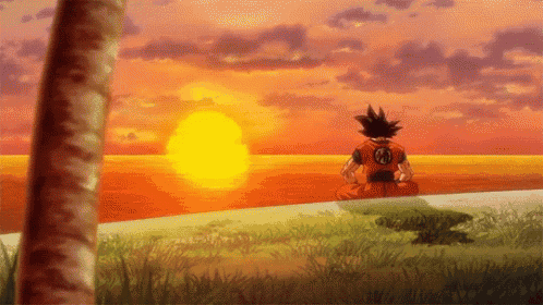 a cartoon of goku sitting on a rock watching the sun set over the ocean .
