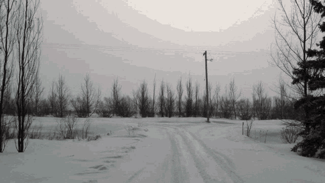 a snowy road with a telephone pole in the middle of it