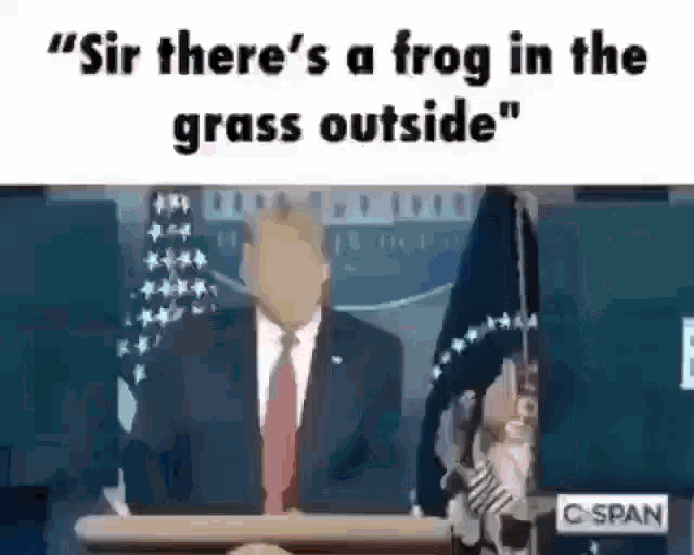 Frog Trump GIF