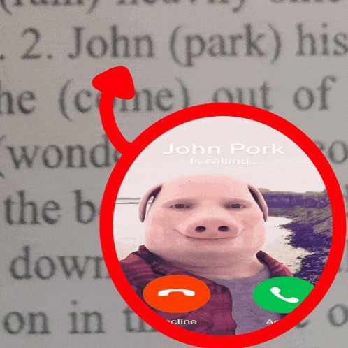a picture of a pig talking on a phone with the words john pork is calling