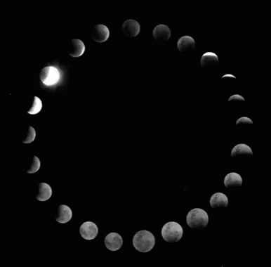 Moon Phases GIF - Moon Phases Love GIFs