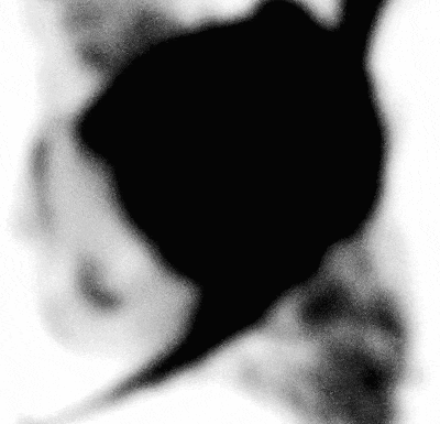 a black and white photo of a shadow of a person