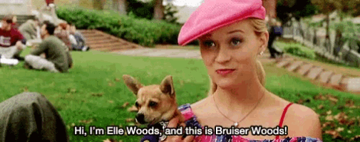 Bruiser Woods GIF