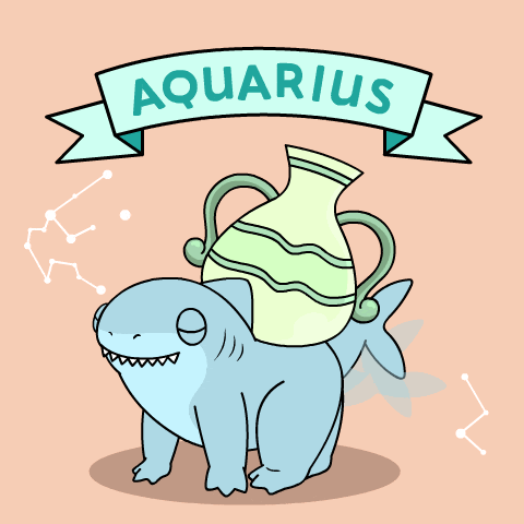 a shark with a pitcher on its back and the word aquarius above it