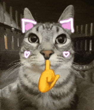 a cat with a yellow finger on its mouth