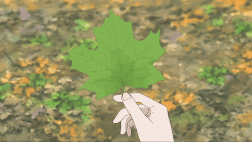 a hand is holding a green leaf in front of a blurred background