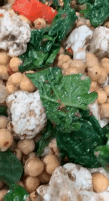 Graodeb Salad GIF - Graodeb Salad Saladadegraodebico GIFs