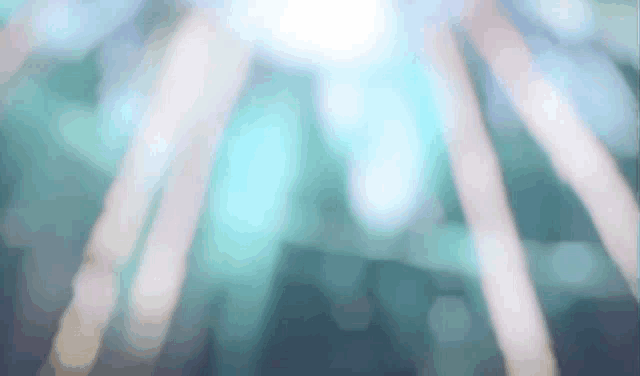 a blurry picture of a person 's legs with a light shining through them .