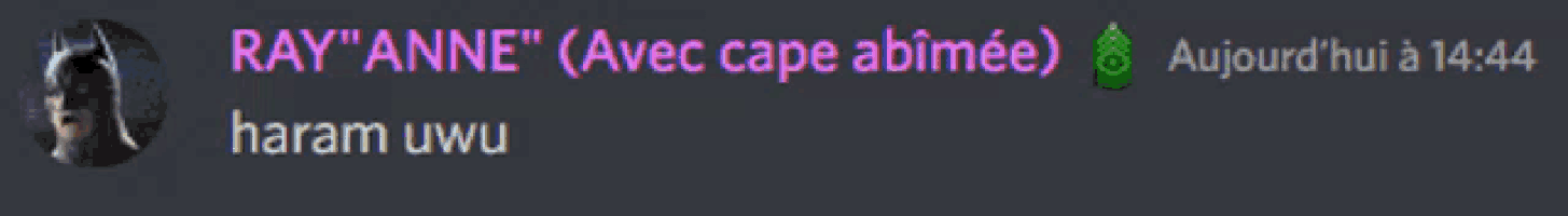 a screenshot of a chat with ray anne and harem uwu
