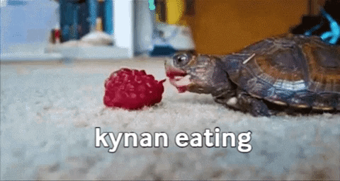 Kynan Slow Eat GIF - Kynan Slow Eat GIFs